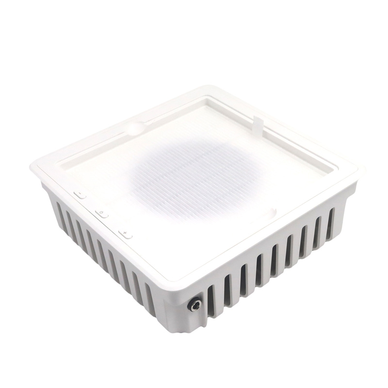 Extractor de polvo de uñas profesional